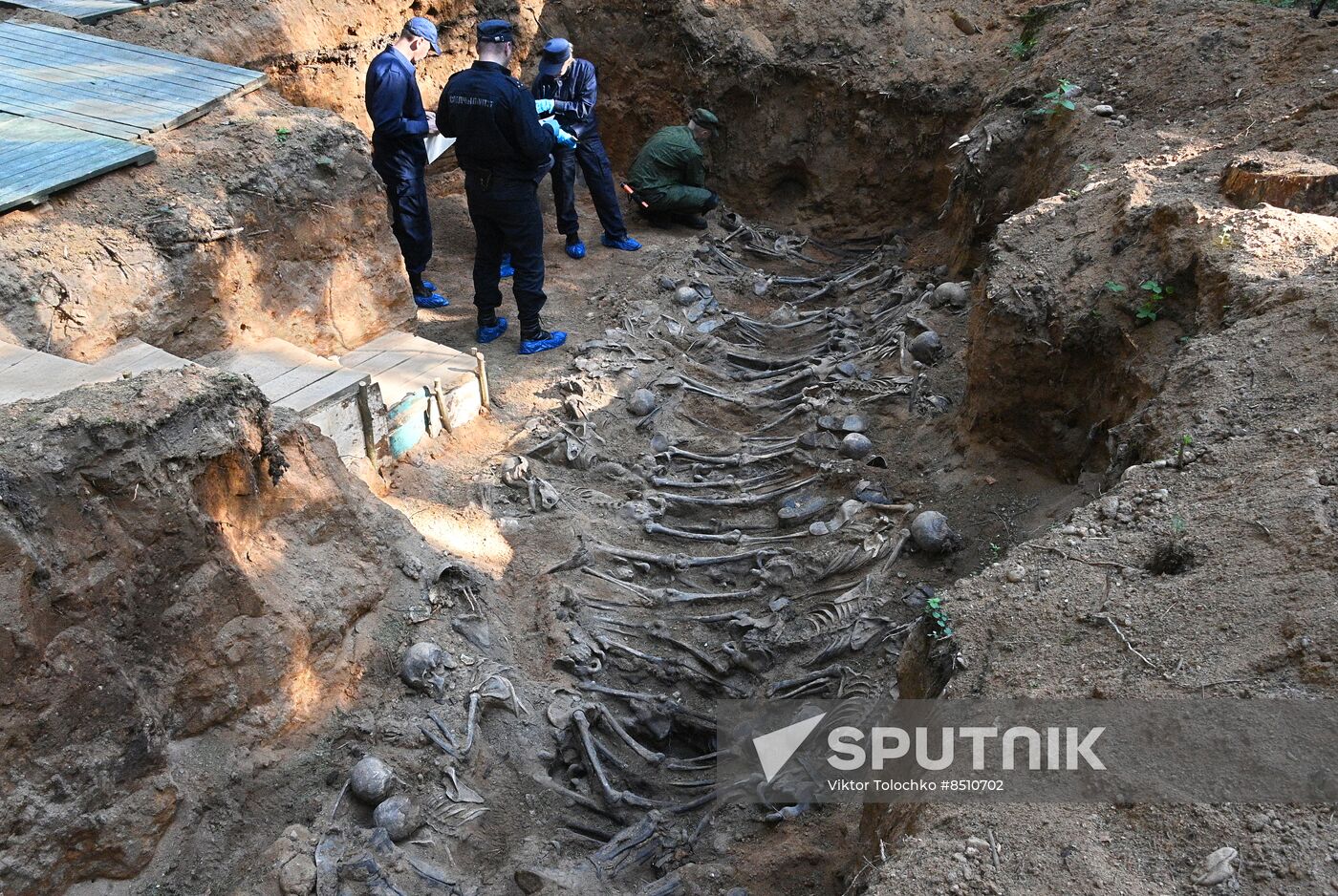 Belarus WWII Mass Grave