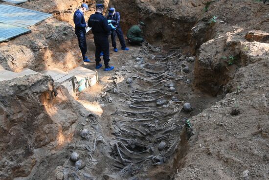 Belarus WWII Mass Grave