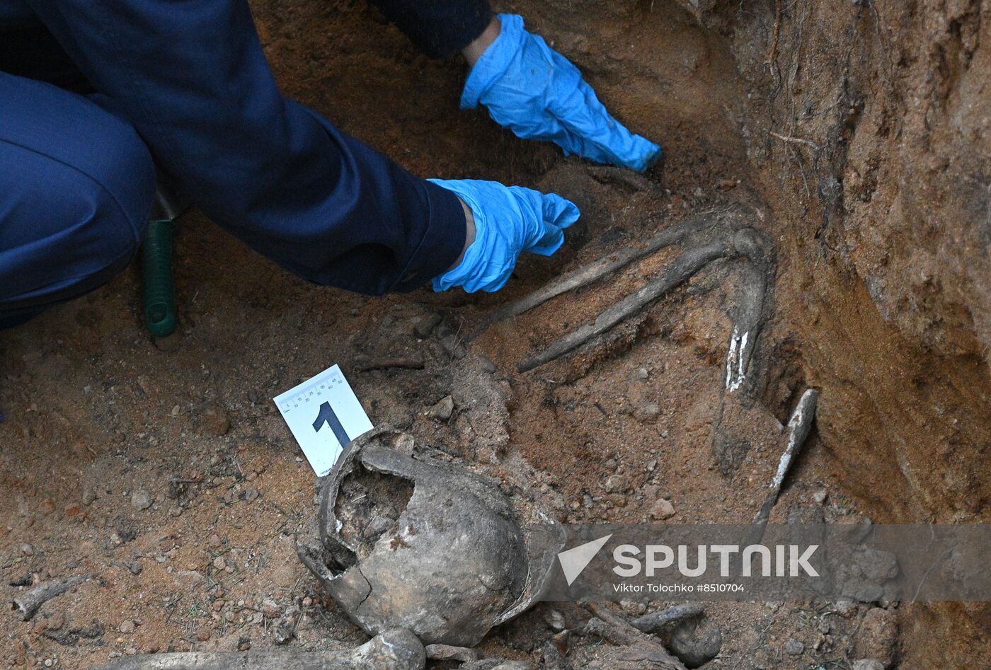 Belarus WWII Mass Grave