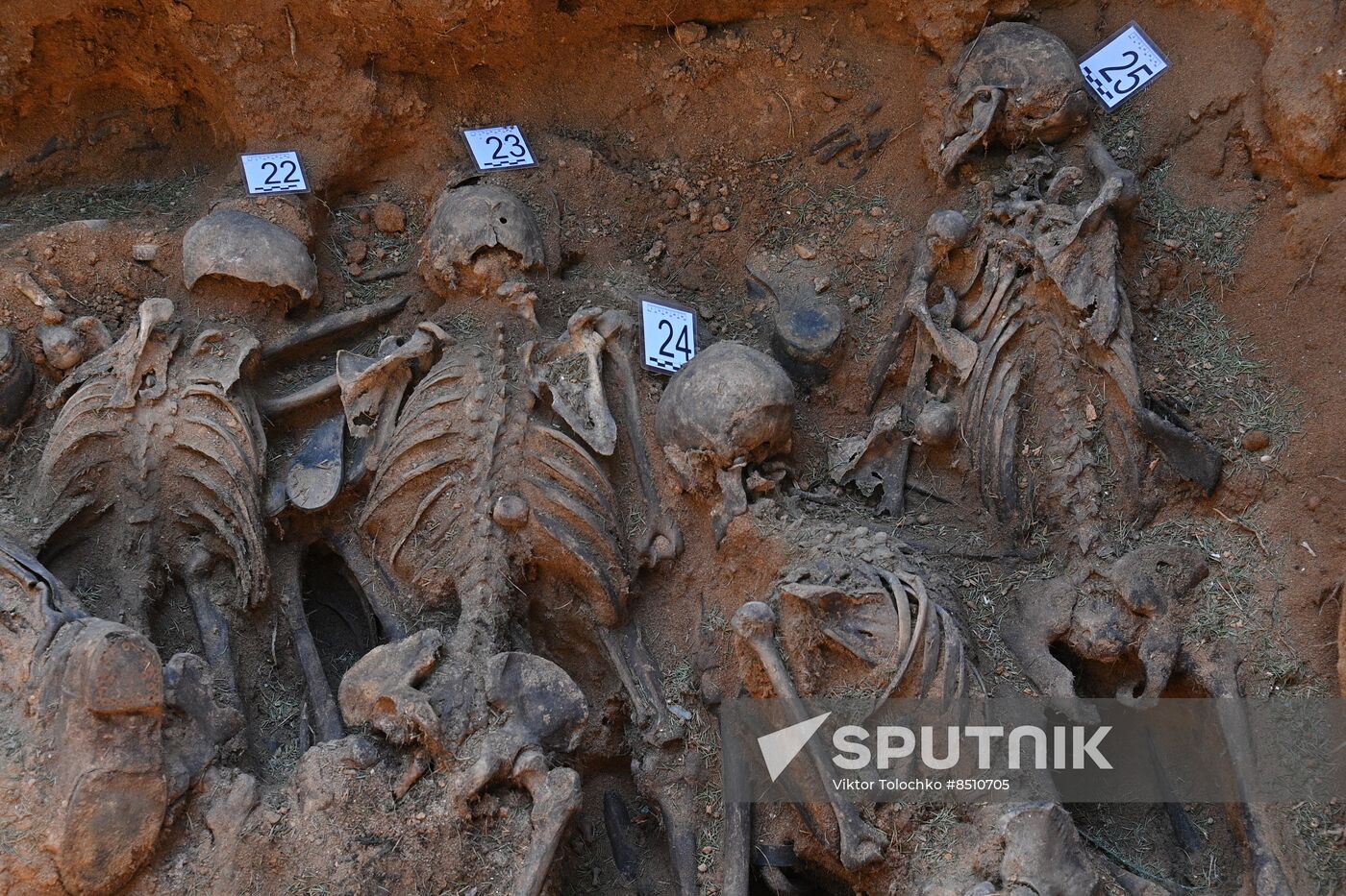 Belarus WWII Mass Grave