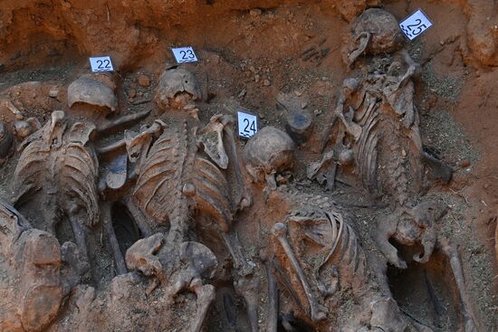 Belarus WWII Mass Grave