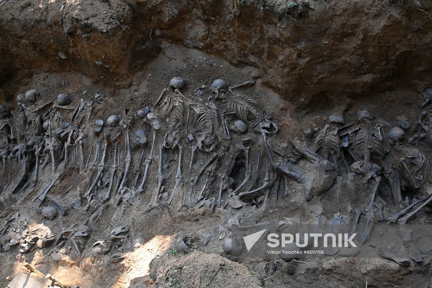 Belarus WWII Mass Grave