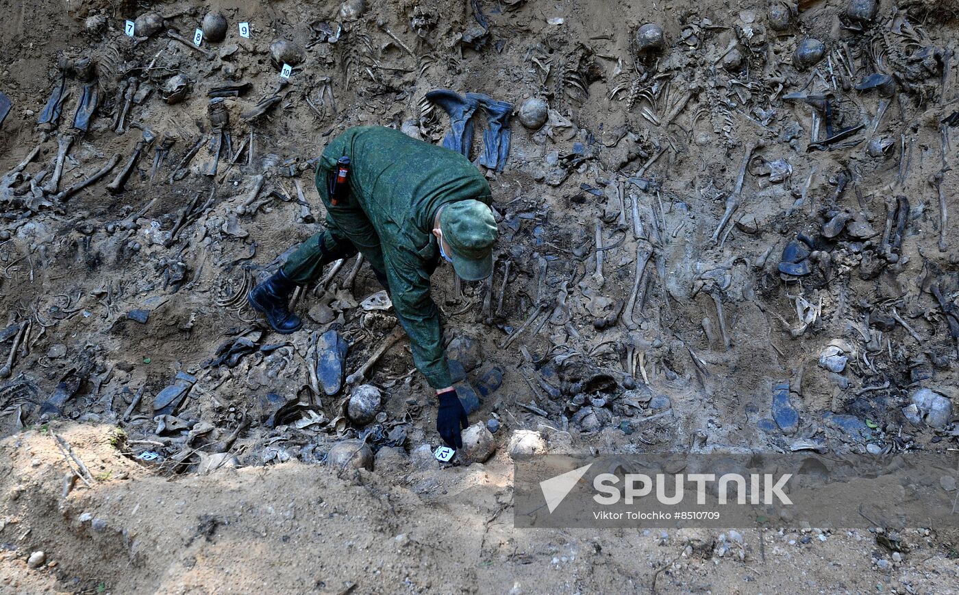 Belarus WWII Mass Grave