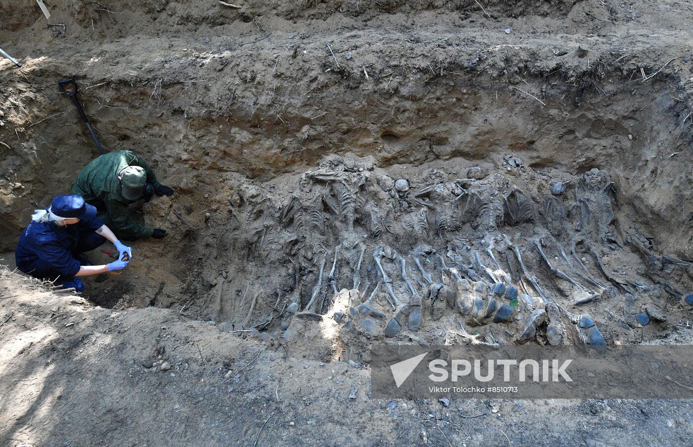 Belarus WWII Mass Grave