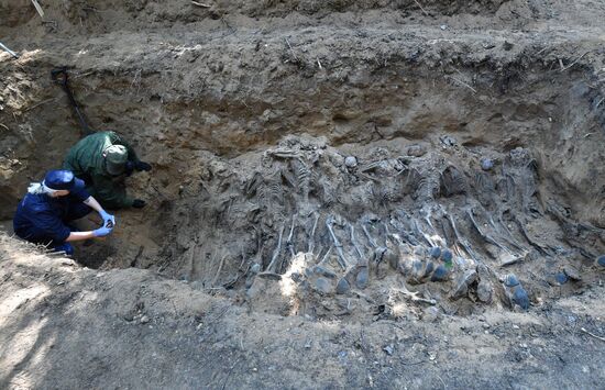 Belarus WWII Mass Grave