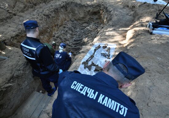 Belarus WWII Mass Grave