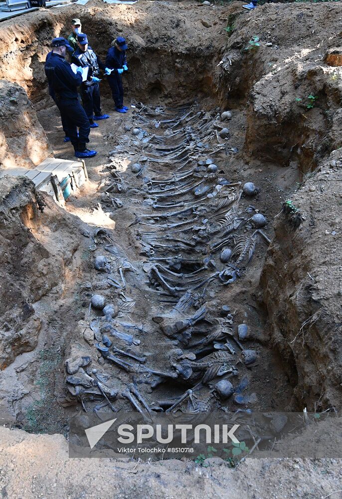 Belarus WWII Mass Grave