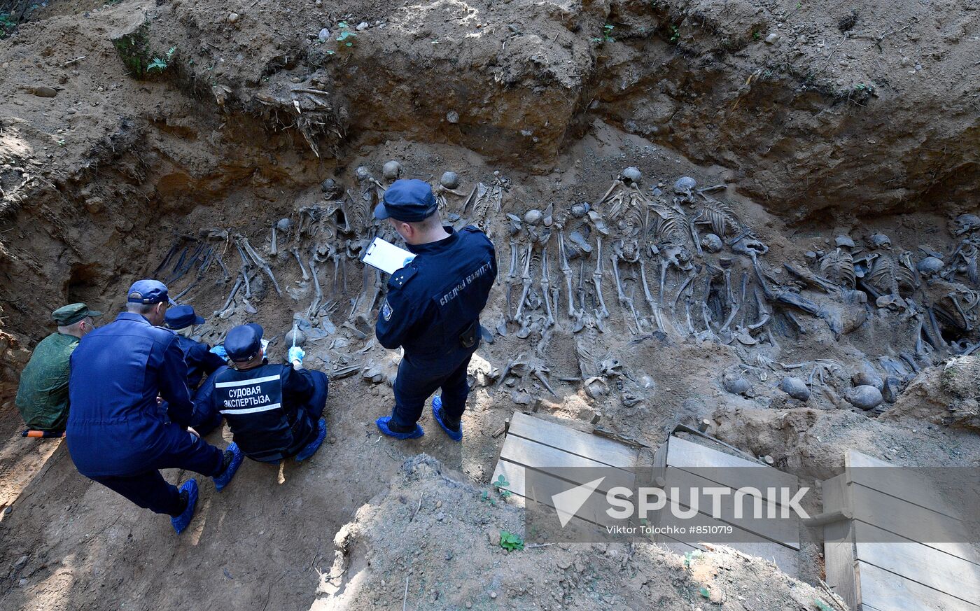 Belarus WWII Mass Grave
