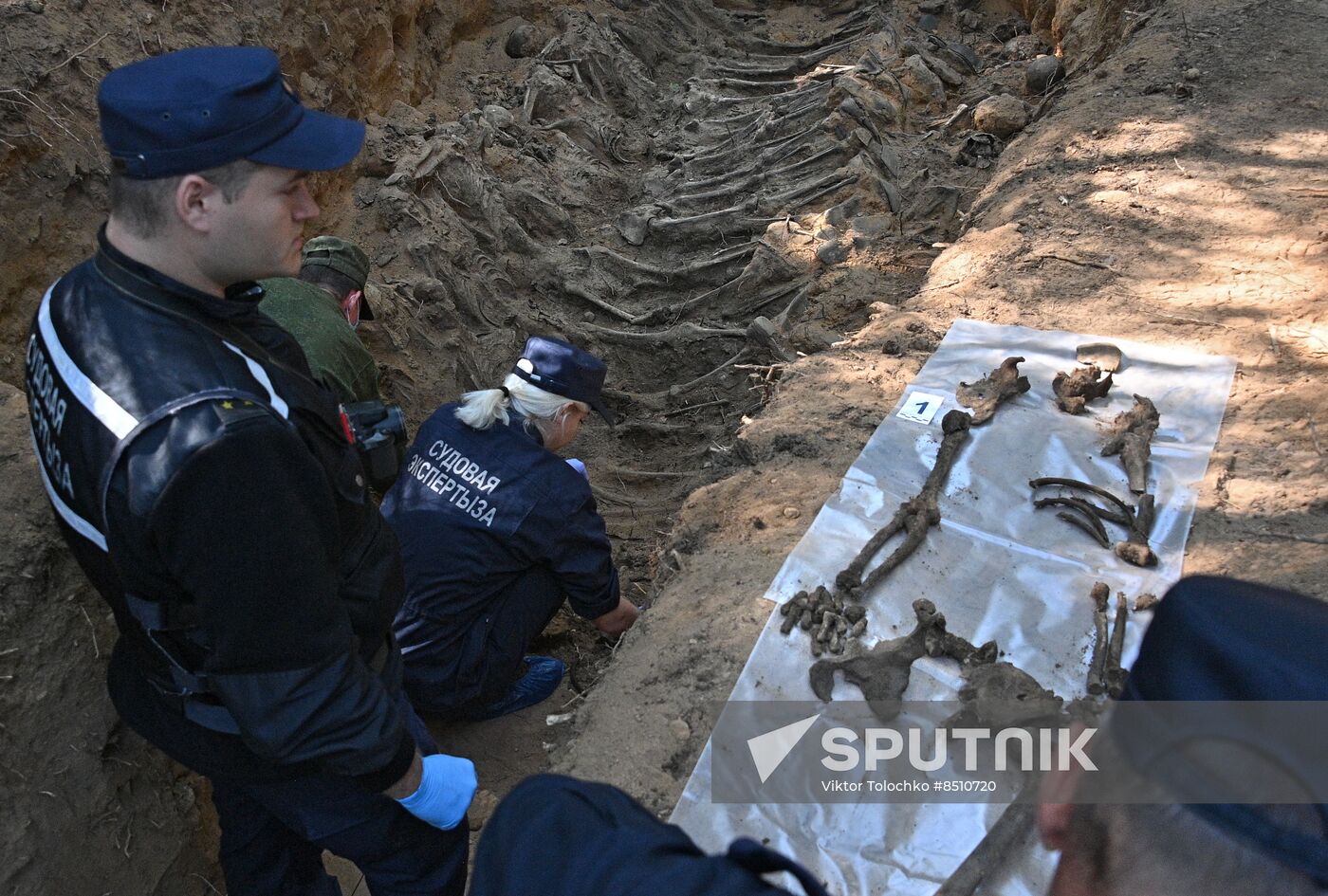 Belarus WWII Mass Grave