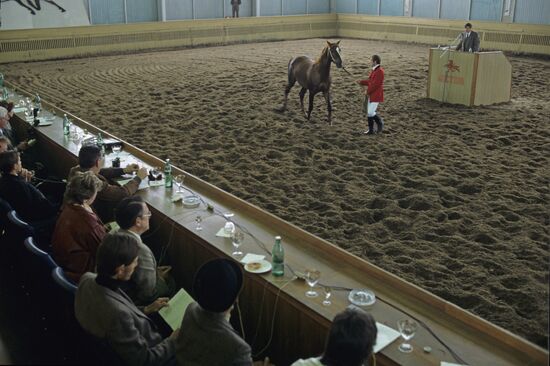 International auction of pedigree and racing horses