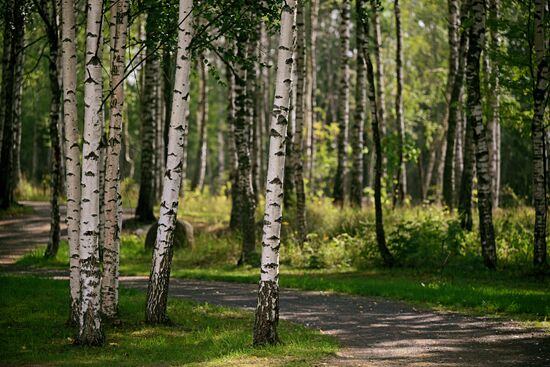 #Discovering Russia. Rybinsk