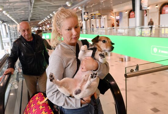 Russia Air Transport