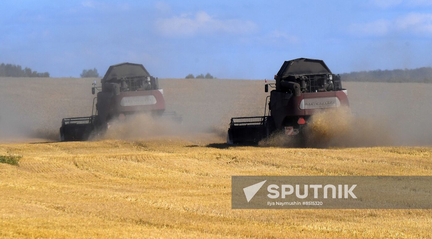 Russia Agriculture Wheat Harvesting