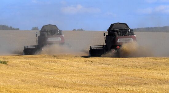 Russia Agriculture Wheat Harvesting