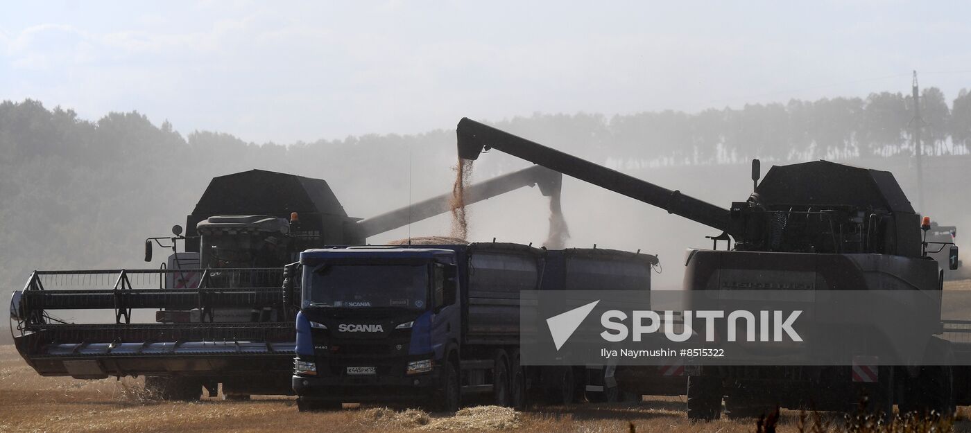 Russia Agriculture Wheat Harvesting