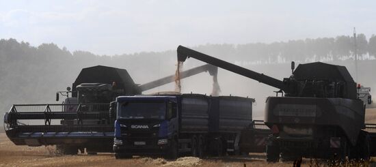 Russia Agriculture Wheat Harvesting