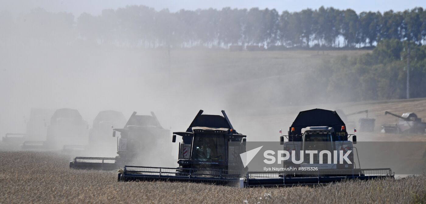 Russia Agriculture Wheat Harvesting