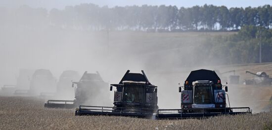 Russia Agriculture Wheat Harvesting