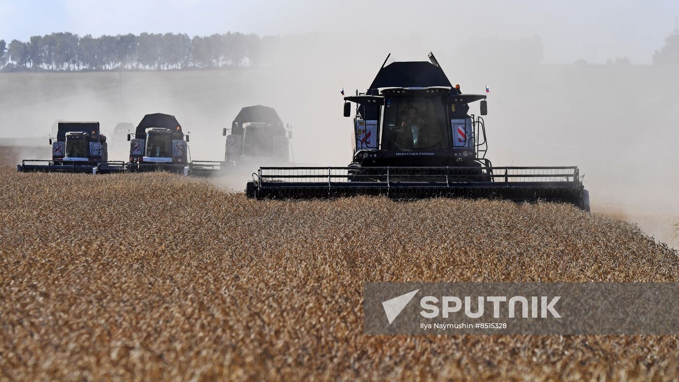 Russia Agriculture Wheat Harvesting