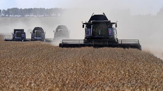 Russia Agriculture Wheat Harvesting