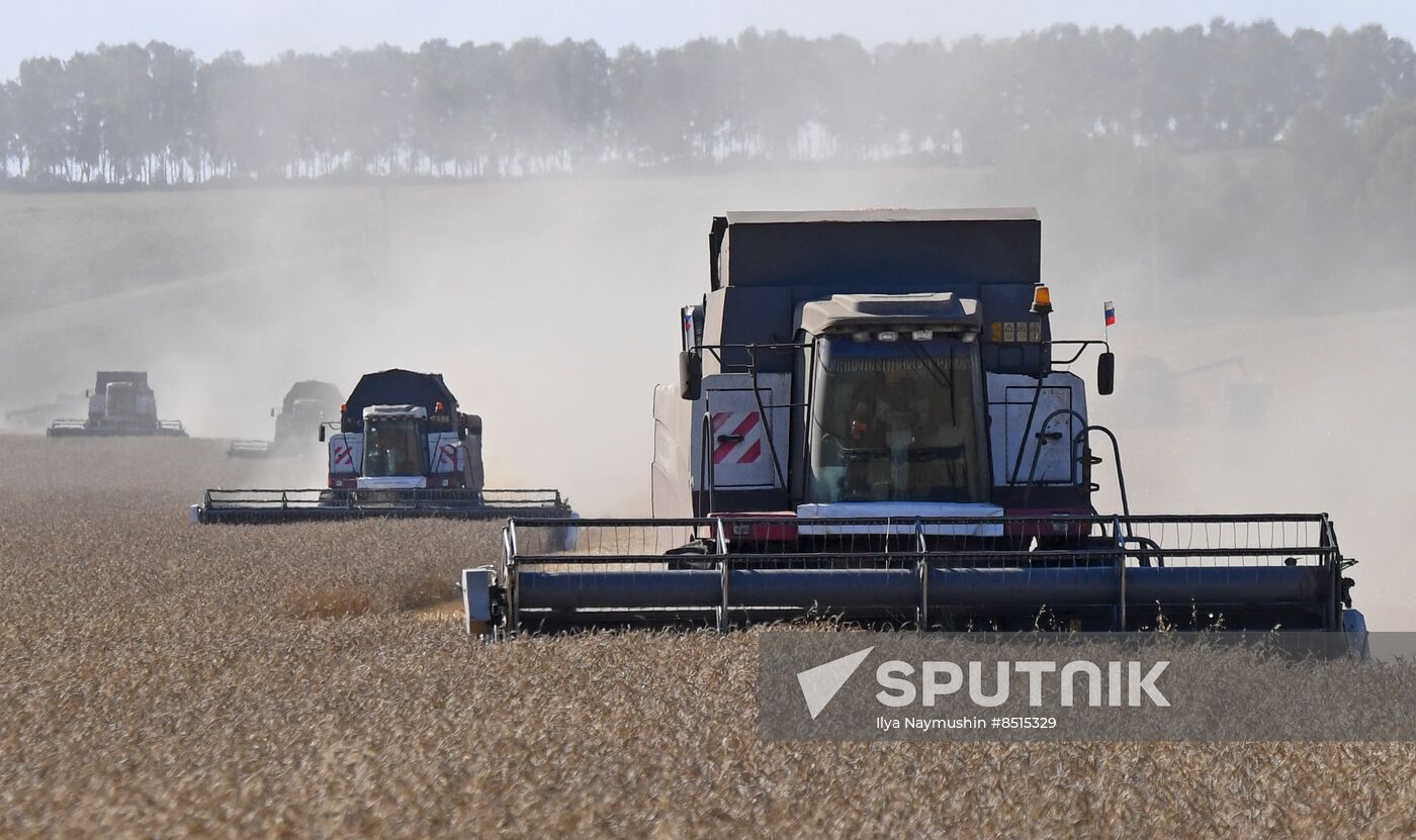 Russia Agriculture Wheat Harvesting