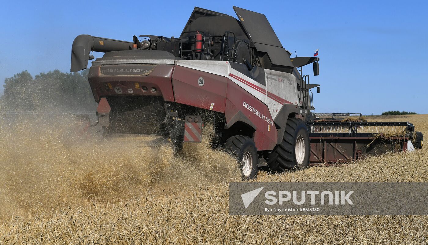 Russia Agriculture Wheat Harvesting