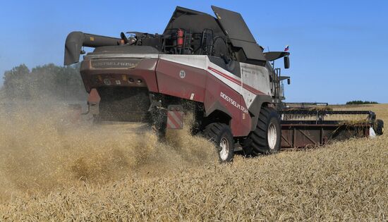 Russia Agriculture Wheat Harvesting