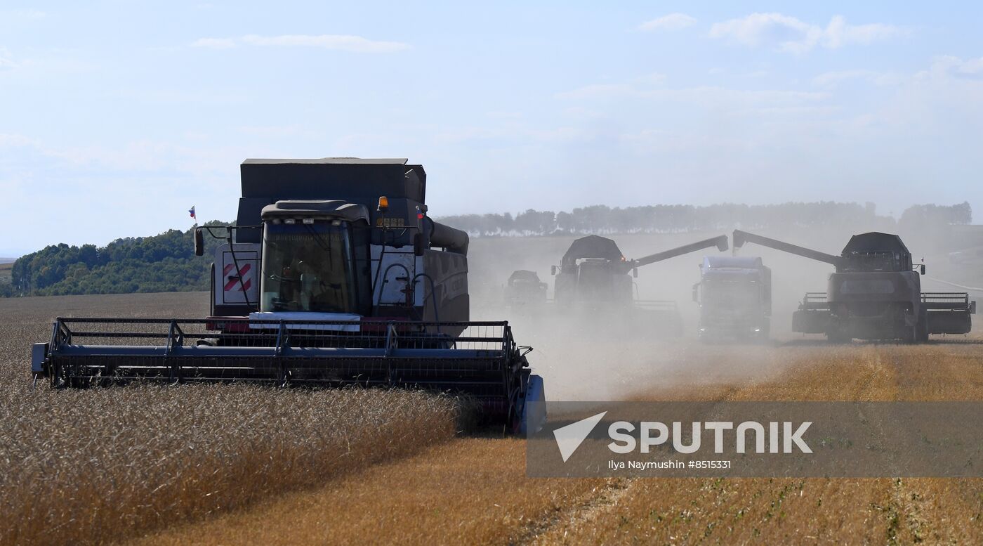 Russia Agriculture Wheat Harvesting