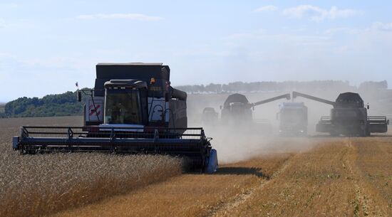 Russia Agriculture Wheat Harvesting