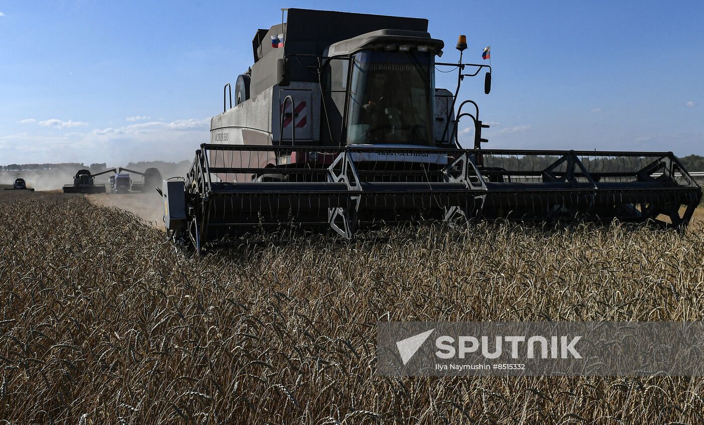 Russia Agriculture Wheat Harvesting