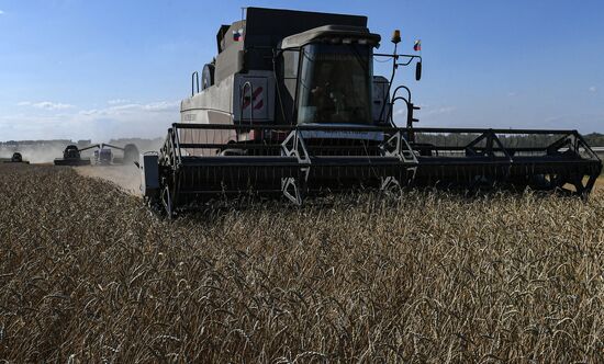 Russia Agriculture Wheat Harvesting