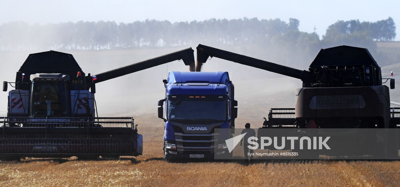 Russia Agriculture Wheat Harvesting