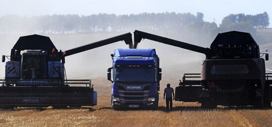 Russia Agriculture Wheat Harvesting