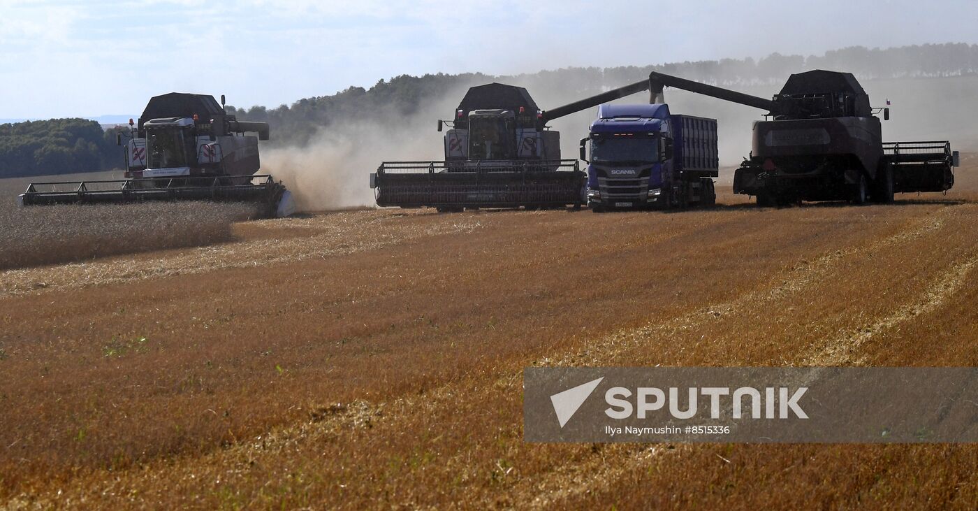 Russia Agriculture Wheat Harvesting