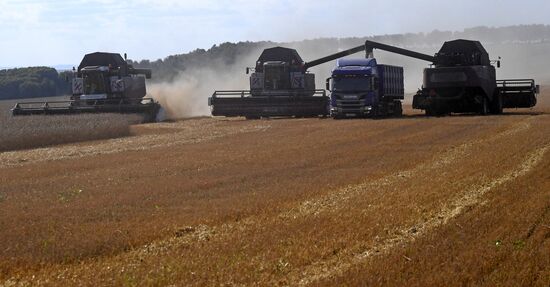 Russia Agriculture Wheat Harvesting