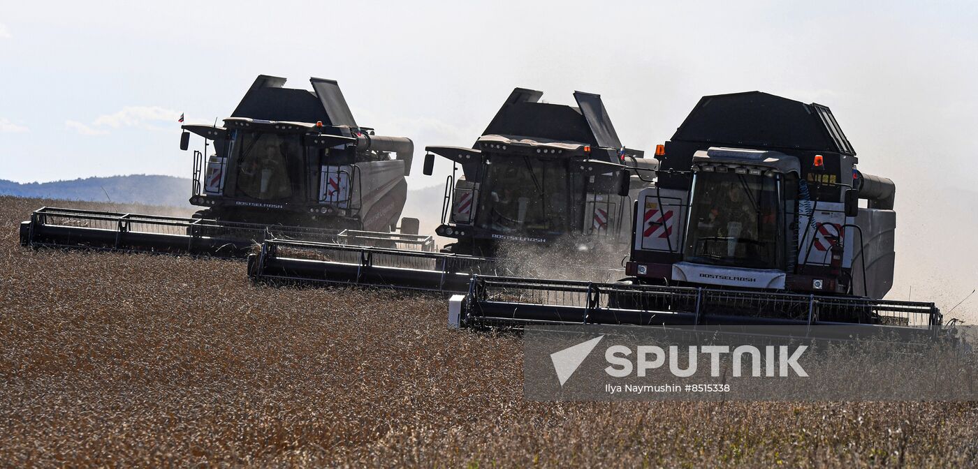 Russia Agriculture Wheat Harvesting