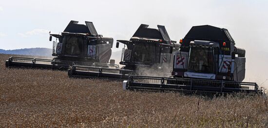Russia Agriculture Wheat Harvesting