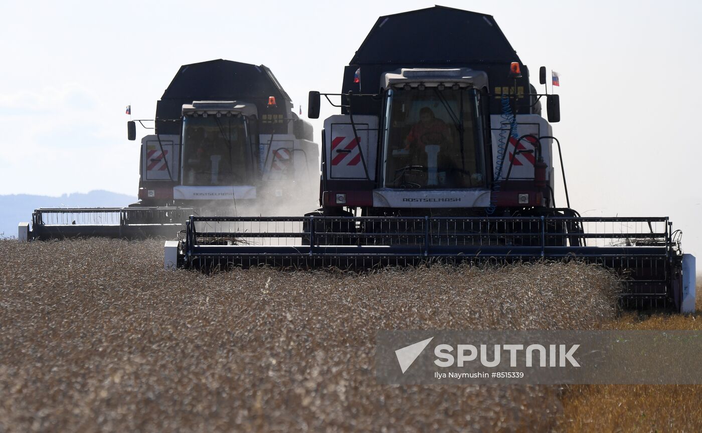 Russia Agriculture Wheat Harvesting