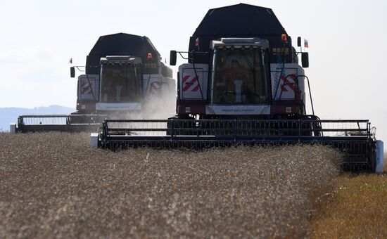 Russia Agriculture Wheat Harvesting