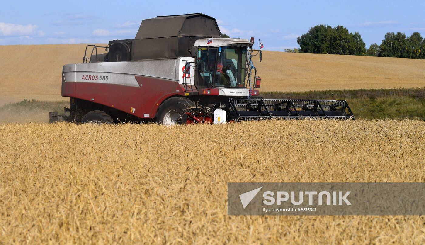 Russia Agriculture Wheat Harvesting