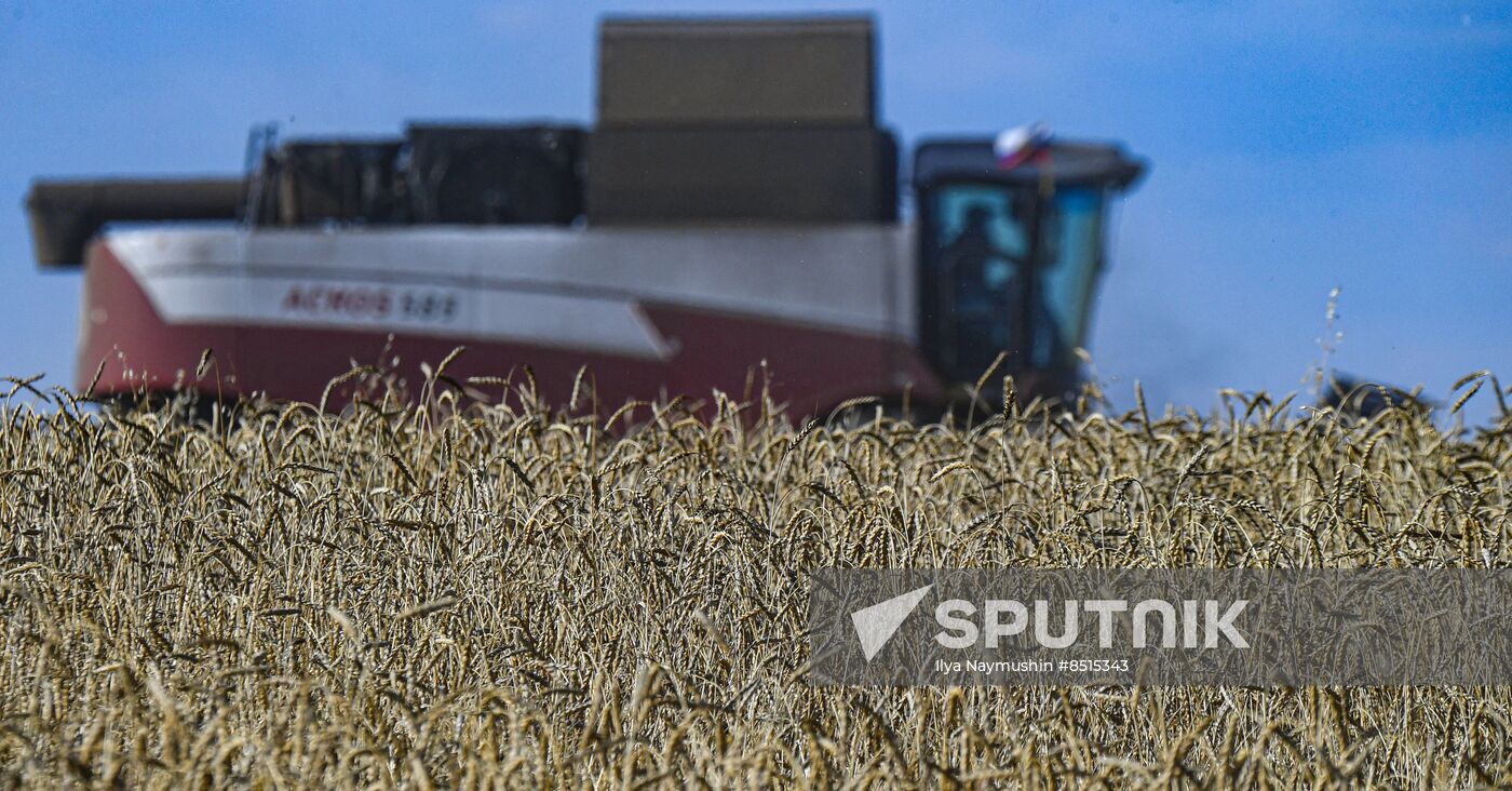 Russia Agriculture Wheat Harvesting