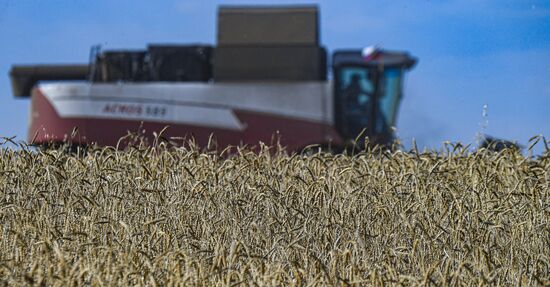 Russia Agriculture Wheat Harvesting