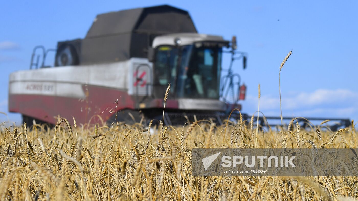 Russia Agriculture Wheat Harvesting