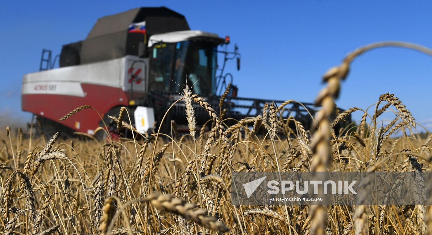 Russia Agriculture Wheat Harvesting