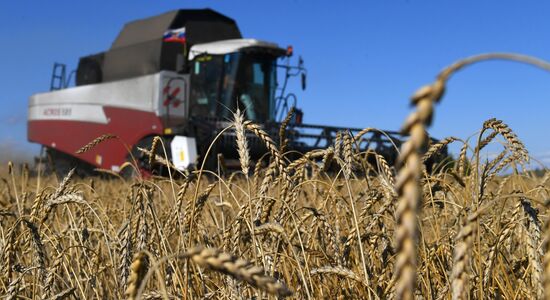 Russia Agriculture Wheat Harvesting