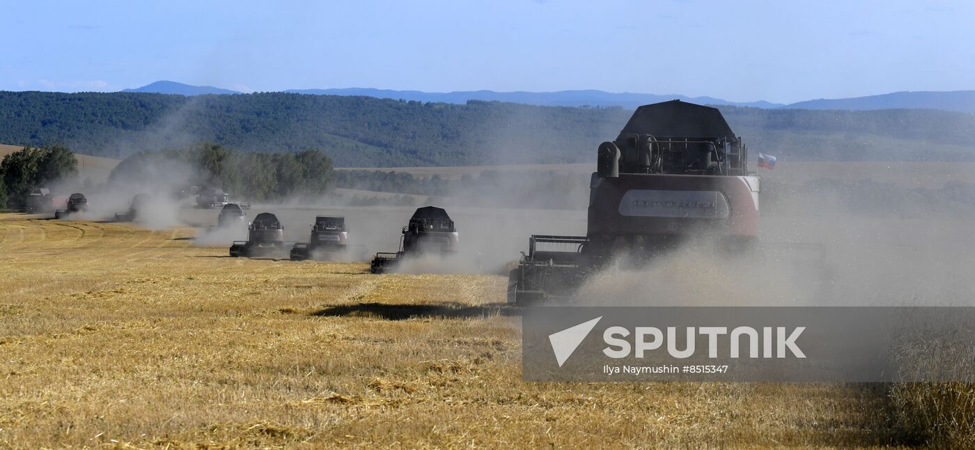 Russia Agriculture Wheat Harvesting