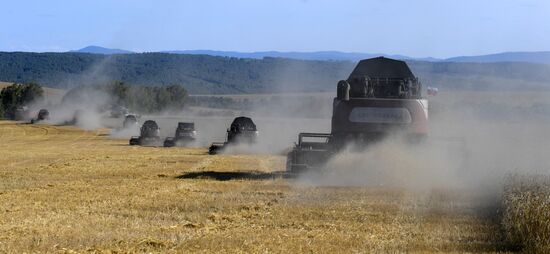 Russia Agriculture Wheat Harvesting