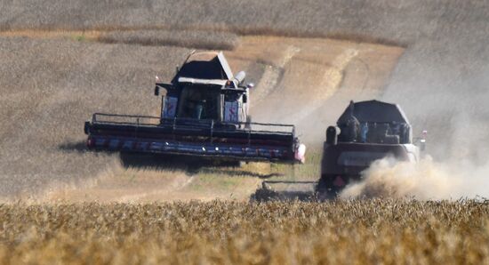 Russia Agriculture Wheat Harvesting