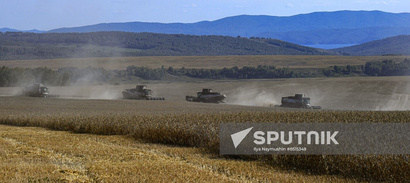 Russia Agriculture Wheat Harvesting