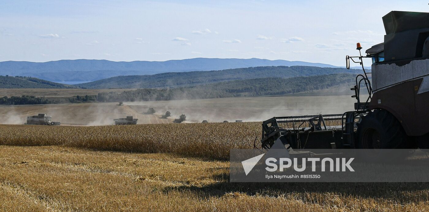 Russia Agriculture Wheat Harvesting